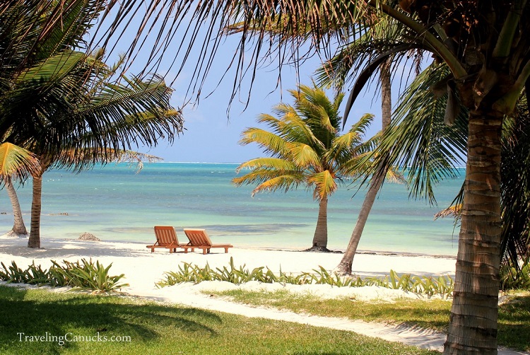 Palm trees and beach at Victoria House Resort on Ambergris Caye in Belize Barrier Reef