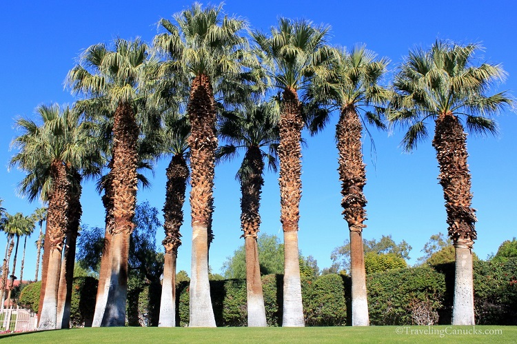 Things to do in Palm Springs with Kids