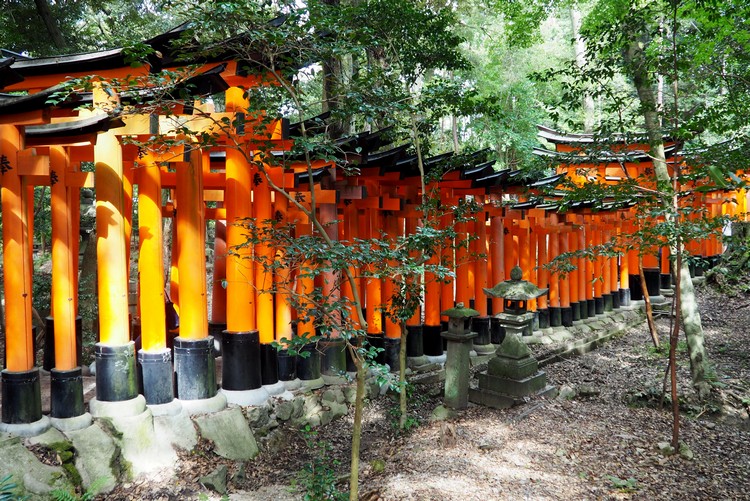 Rows of torii gates on the hiking trails inside Fushimi Inari in Kyoto, Japan