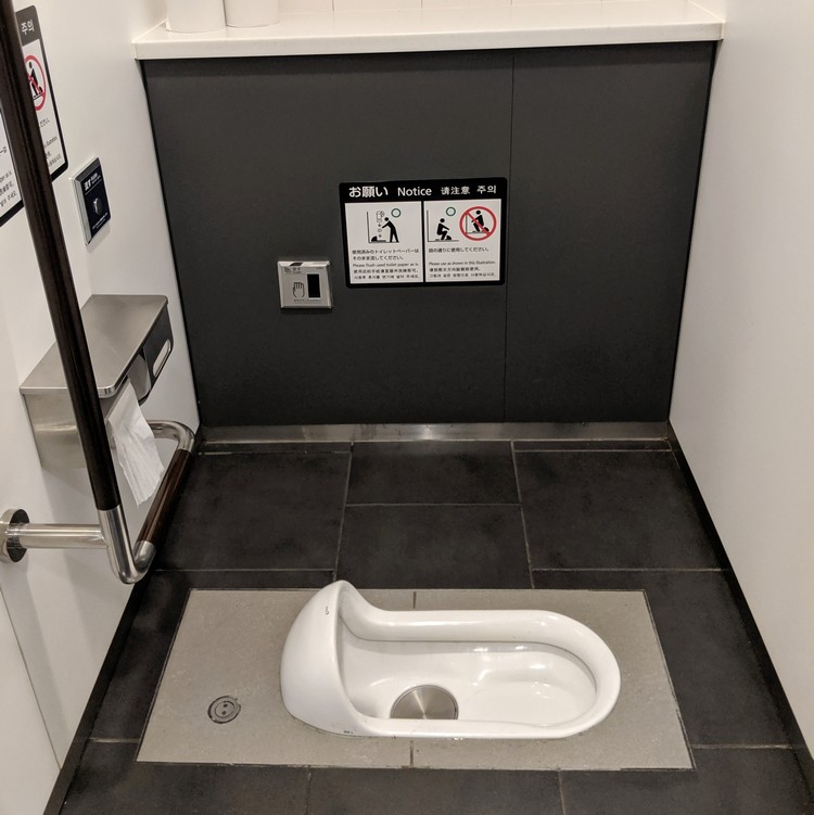 hole in the floor toilets in Japan Asia