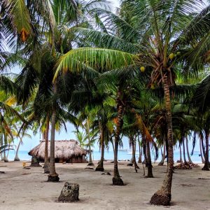 How to get to San Blas Islands from Panama City, Panama