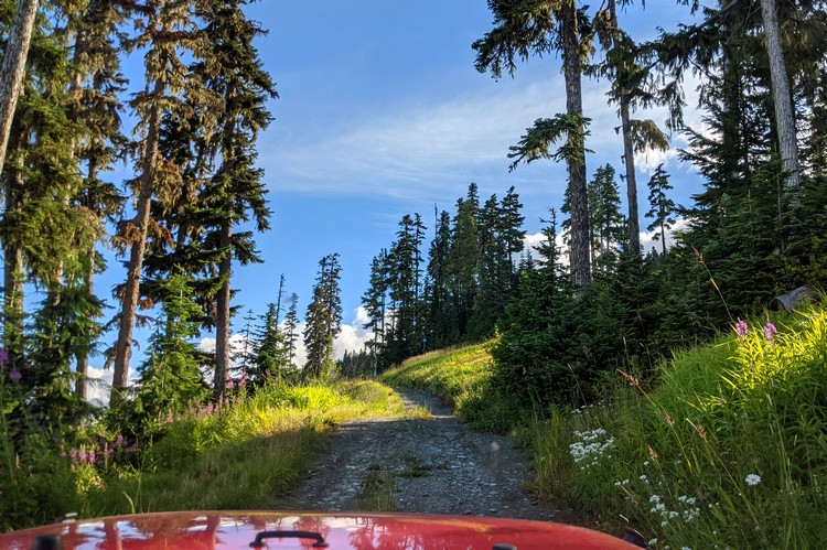 Views of Blackcomb Mountain trails during the summer while on Whistler Jeep Tour with Canadian Wilderness Adventures