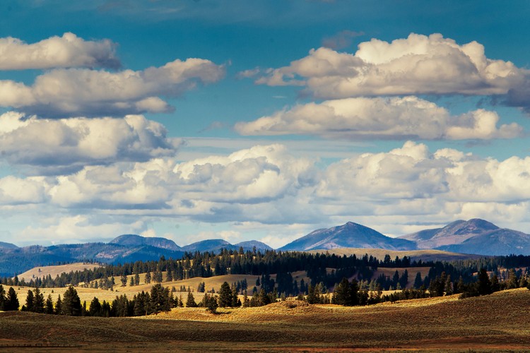 Montana mountain landscape 