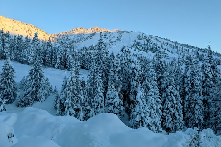 morning views of Sasquatch Mountain in the winter, trees covered with snow