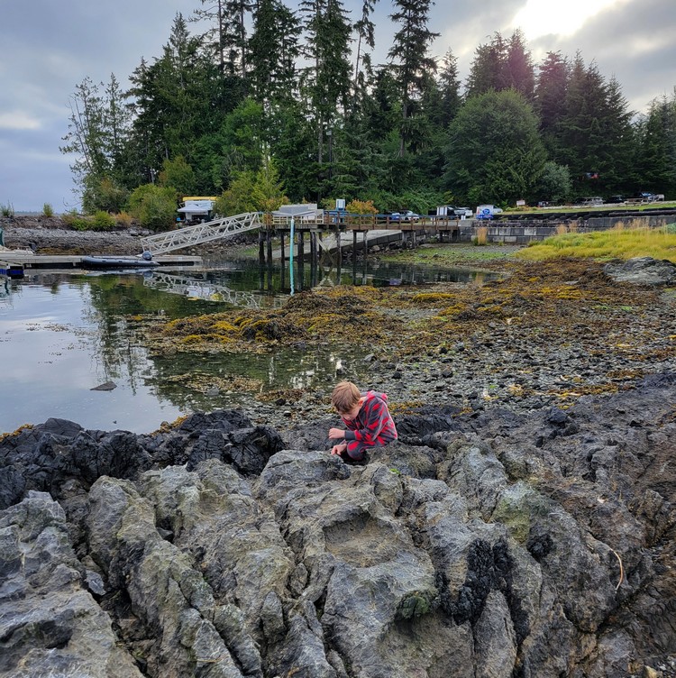Beach at Alder Bay RV Campground in Port McNeill on Vancouver Island British Columbia