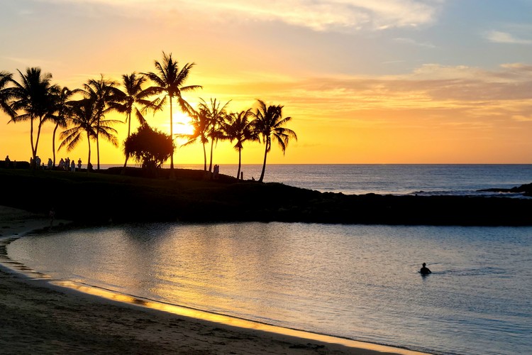 Hawaii sunset with palm trees, Oahu beach resort