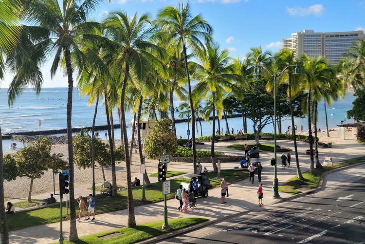 palm trees on the main street at Waikiki Beach in Honolulu, Oahu Hawaii