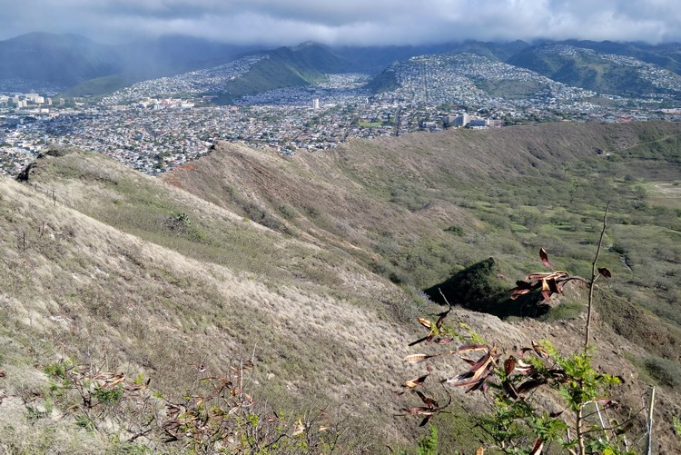 views from inside Diamond Head crater in Honolulu Oahu 