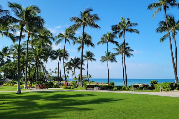 Marriott Ko Olina property with views of palm trees, grass space and beach 