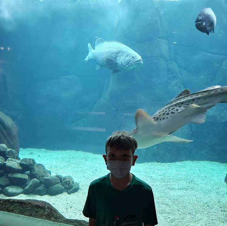 inside Waikiki Aquarium in Honolulu Oahu, family travel to Hawaii