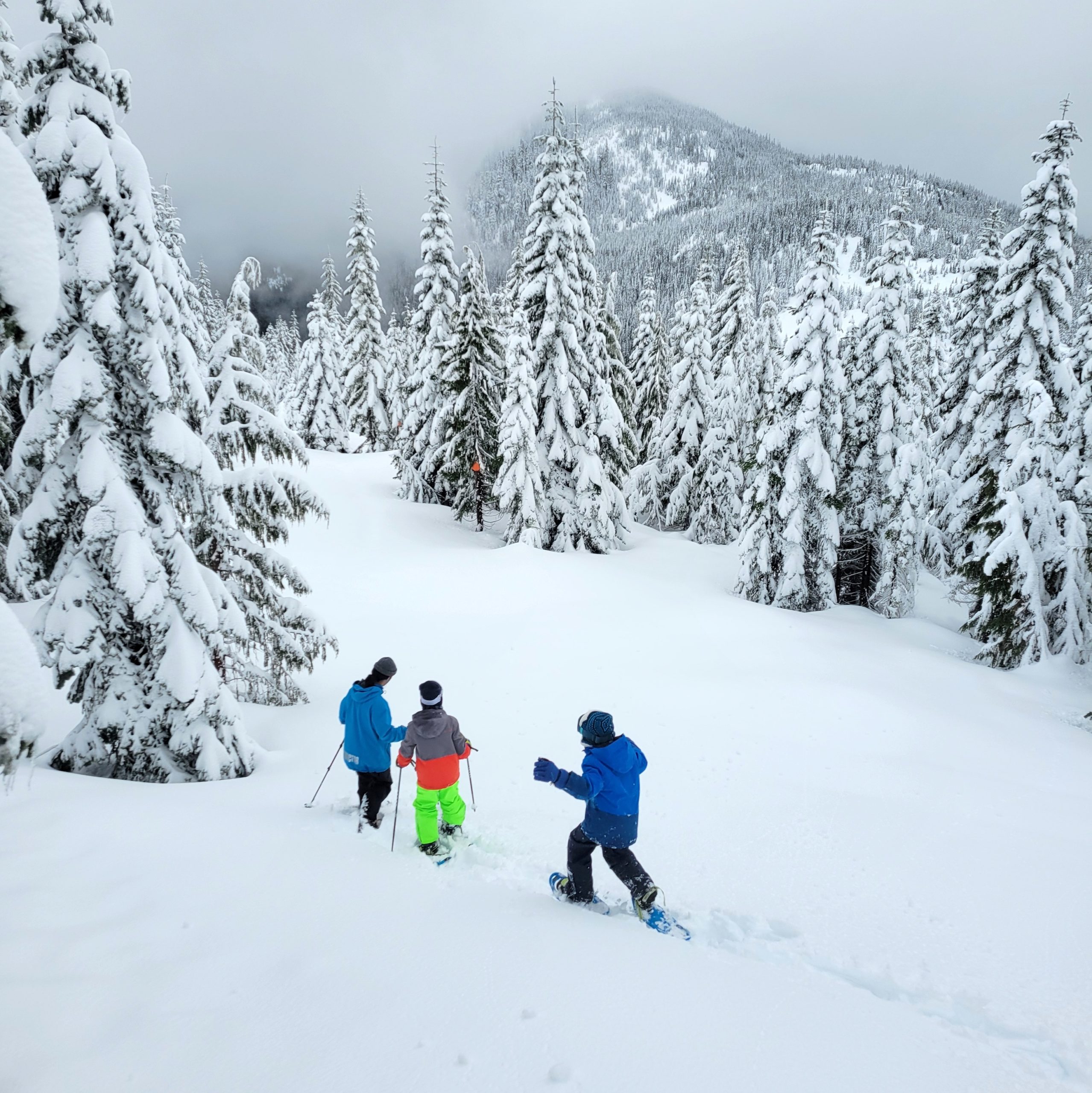 Sasquatch Mountain Snowshoeing - Guided Treks and New Snowshoe Trails