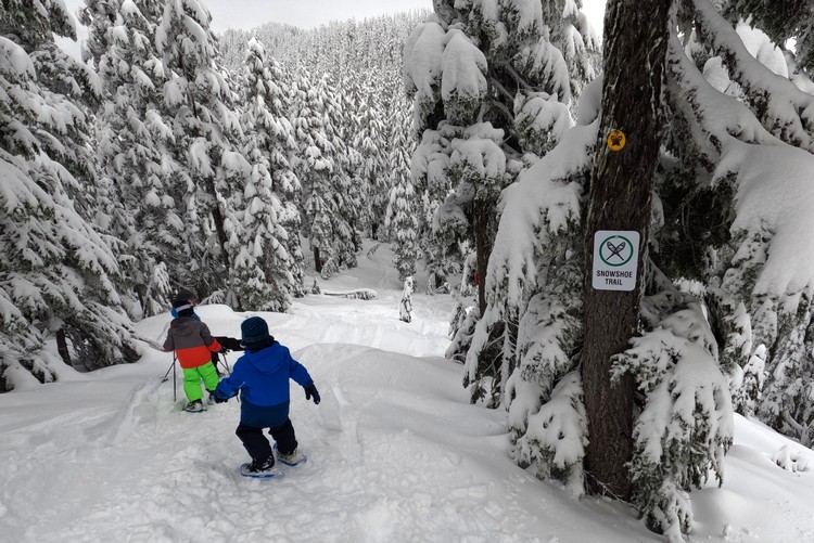 winter snow shoe trail at Sasquatch Mountain in British Columbia
