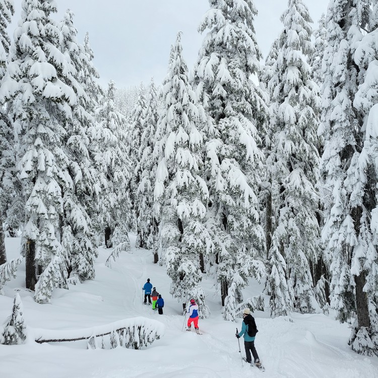 Sasquatch Mountain snowshoeing guided tours, snow shoe trails at Sasquatch 