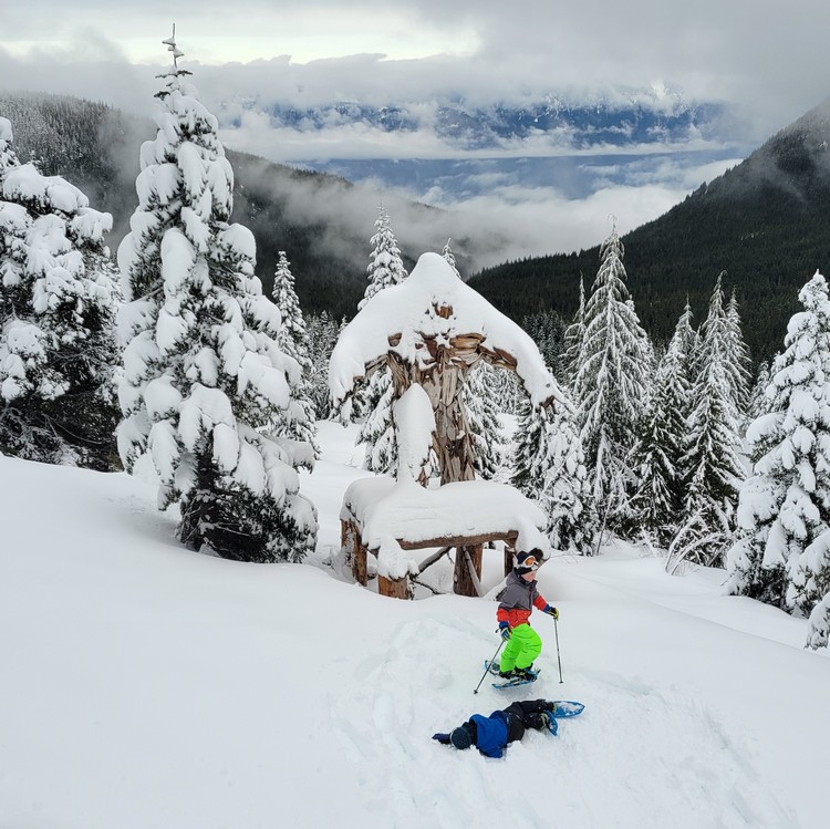 Sasquatch statue on the Sasquatch Mountain snowshoeing trail 