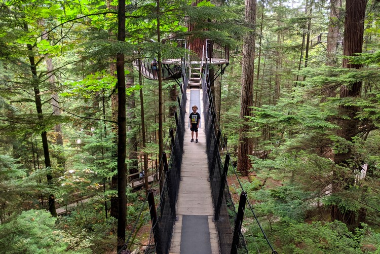Treetops adventure at Capilano Suspension Bridge Park, things to do in North Vancouver