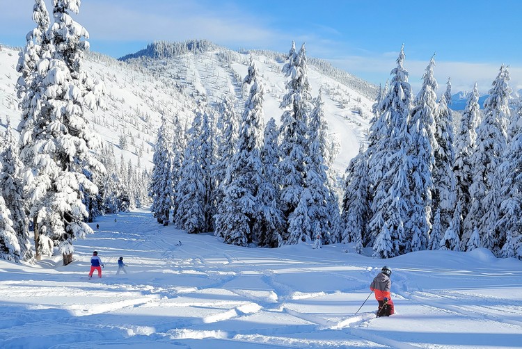 powder skiing at Sasquatch Mountain Resort in British Columbia
