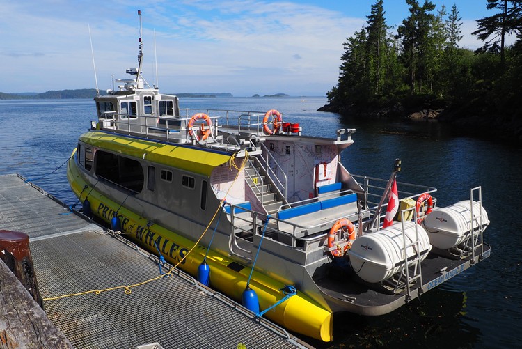 Prince of Whales boat for Telegraph Cove whale watching tours