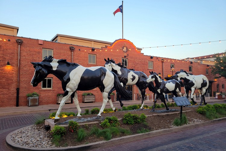 statue of horses at Mule Alley Fort Worth Stockyards