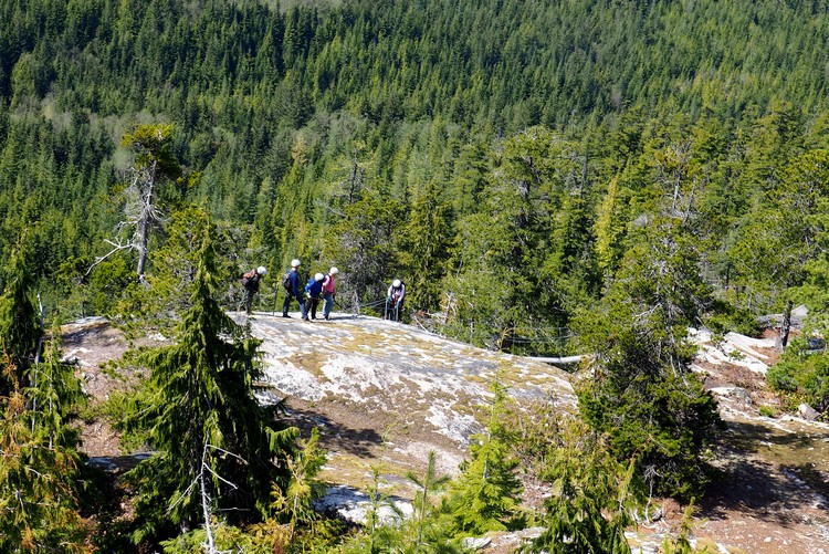 people doing the Squamish Via Ferrata course on the Sea to Sky Summit