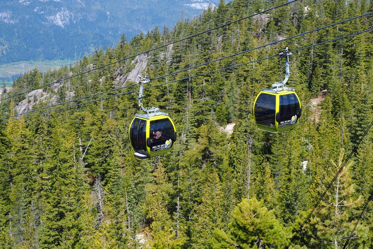 Sea to Sky Gondola in Squamish passing through old growth forest