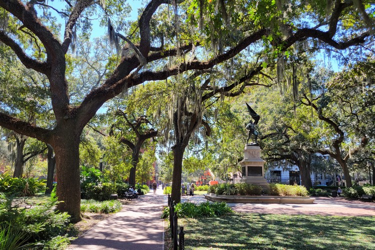 famous statue in Savannah square, big tree with hanging spanish moss