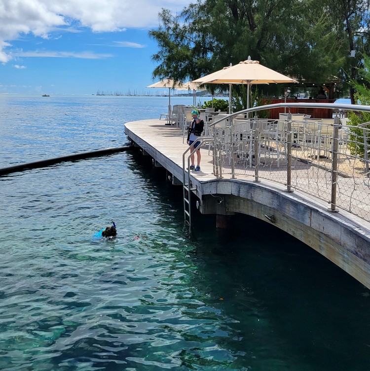 snorkeling at Te Moana Tahiti Resort. Best hotel near Tahiti Airport, family vacation to Society Islands, French Polynesia