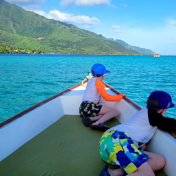 snorkeling tour with Moorea Miti Tours. Swimming with sharks and rays in Moorea, Tahiti family vacation