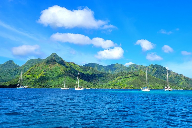 views of Moorea island from the boat while on a snorkeling tour to swim with sharks on Moorea, islands of French Polynesia