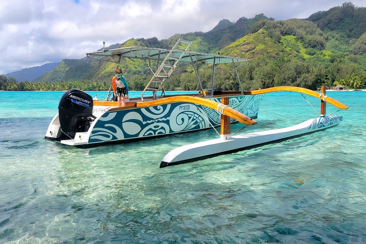 Moorea Miti Tours, snorkeling and swimming with sharks and rays in Moorea