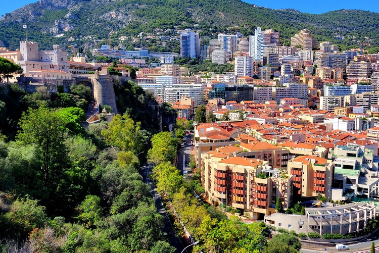 view of red roof buildings and Monaco Palace from a distance, mountains in the backdrop