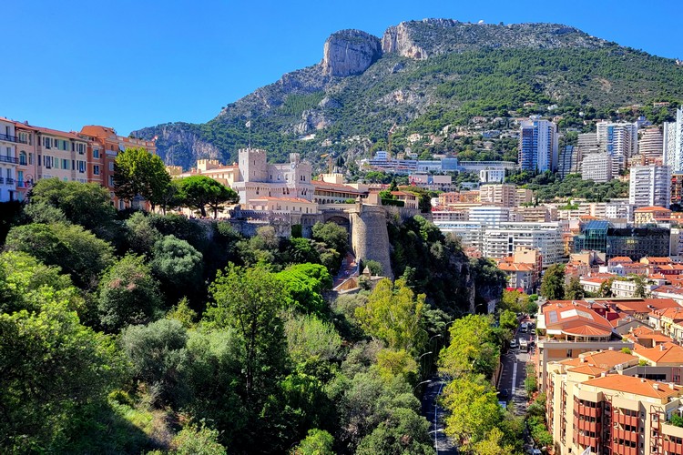view of Prince's Palace of Monaco fort with mountain in the backdrop and city below