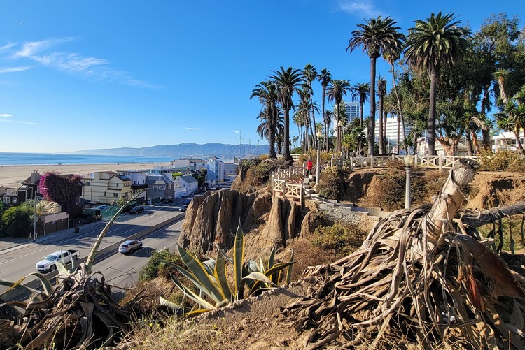 view of Santa Monica Beach from the park with palm trees overlooking the beach and highway
