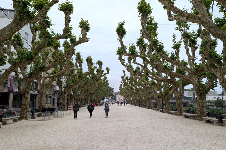 Paseo do Espolón - the famous riverfront promenade in Padrón, Galicia